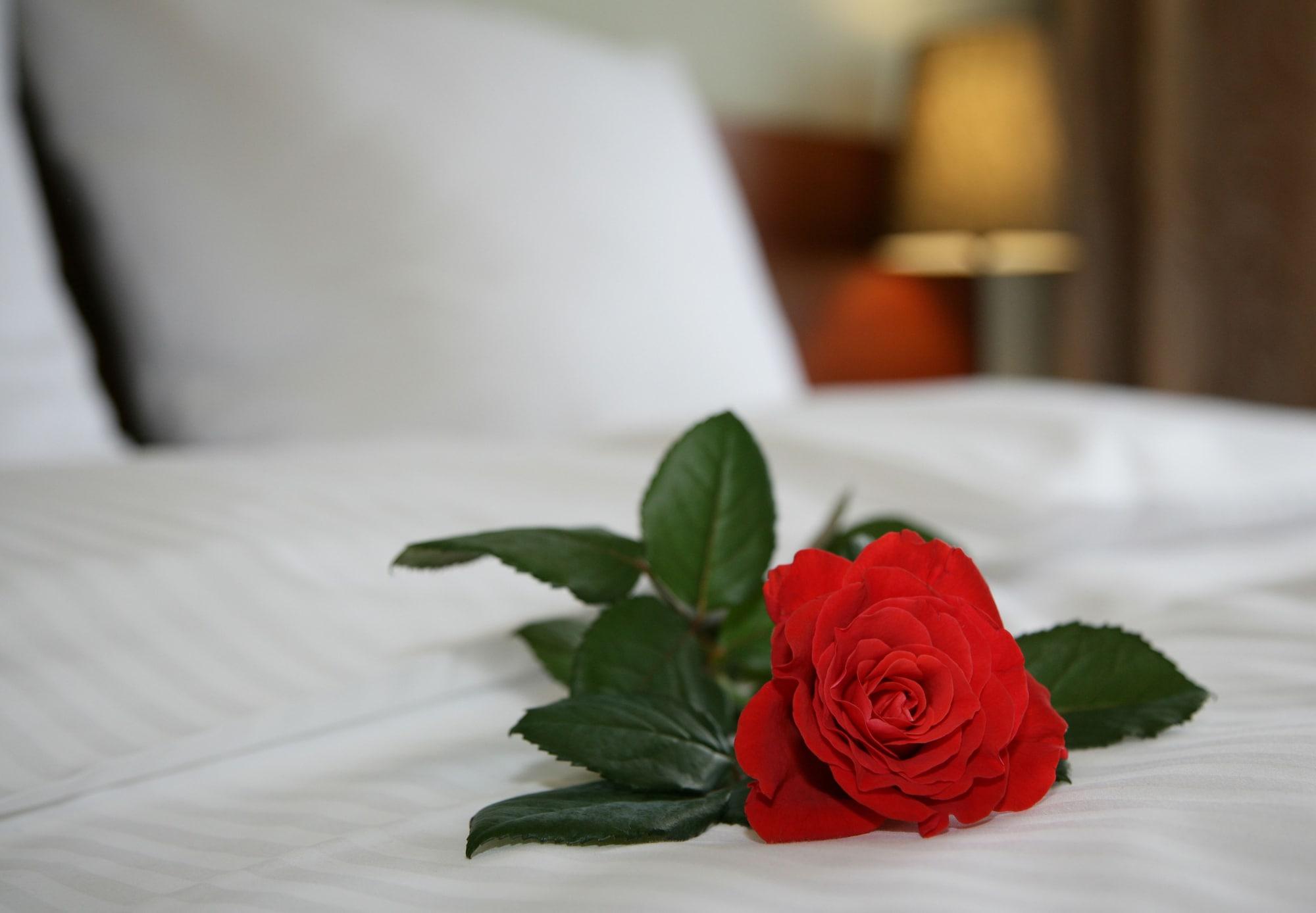 Aparthotel Globus Krasków Εξωτερικό φωτογραφία